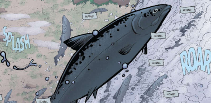 Salmone Del Dubbio Evidenza