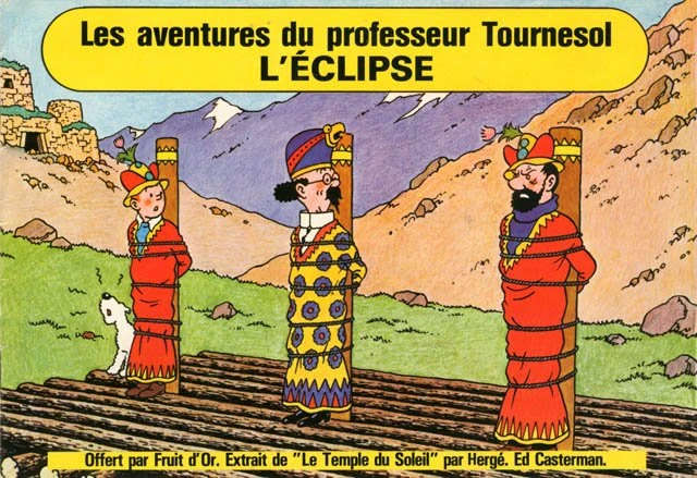 Le avventure del professor girasole eclissi cover