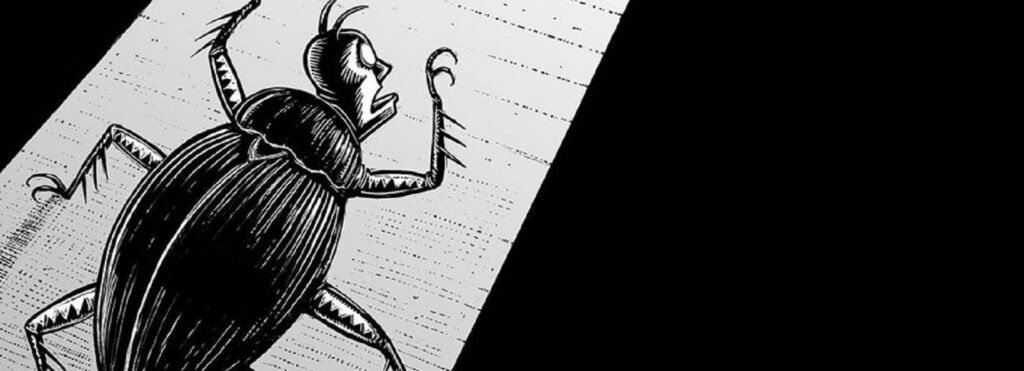 365502526 655778089920903 5513047029859245496 n Copia