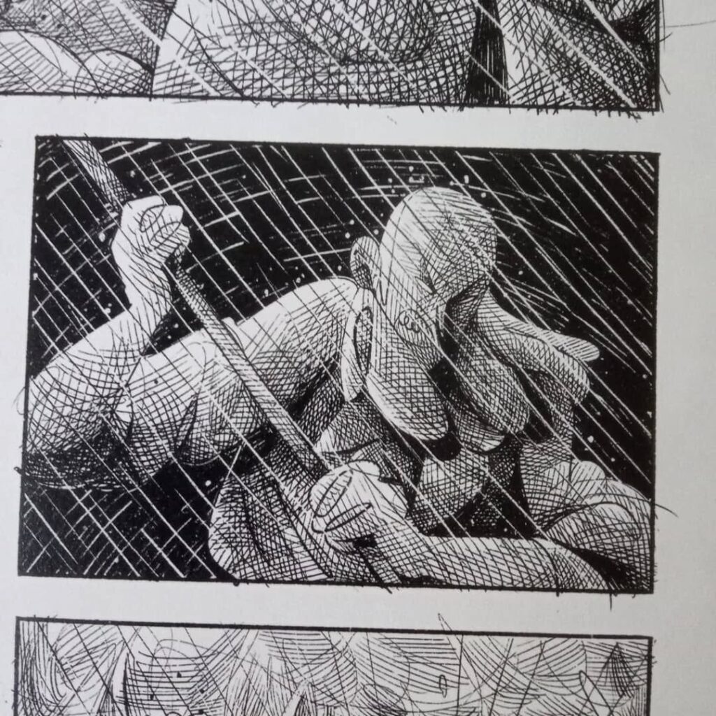 517967013 18274928617279639 8537739590426165607 n