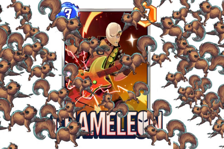 Faq chameleon squirrel