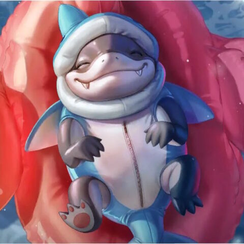 JeffTheBabyDolphin