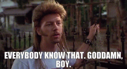 Goddamn joe dirt