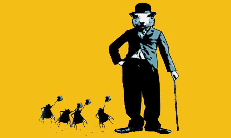 Allegrafattoria home