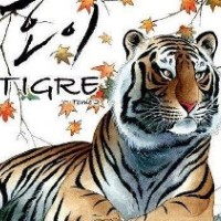 Tigre: un manhwa tra favola e naturalismo