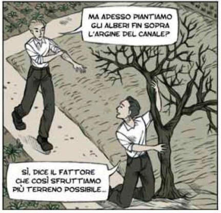 Canale Mussolini