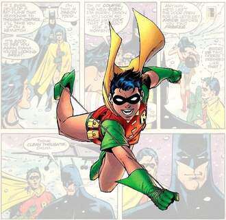 Robin_quadro_1985_300