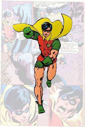 Robin_quadro_Adams300