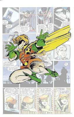 Robin_quadro_DKR_300