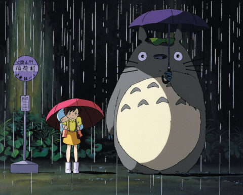 Totoro hoe