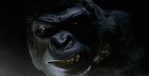Grodd2