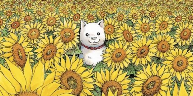 Cane che guarda stelle wall 634x312