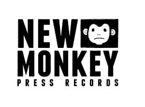 new_monkey-300