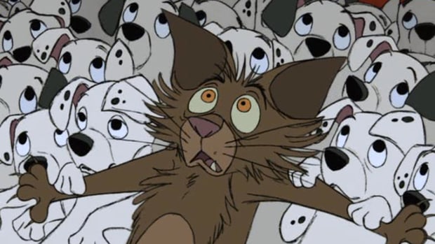 Spunti di comunicazione visiva da Ernesto Pugliese