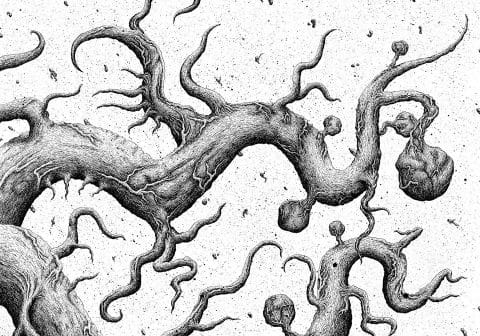 15058560_1164750776907684_274089201_n