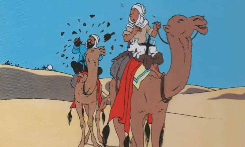 Tintin granchio oro evidenza