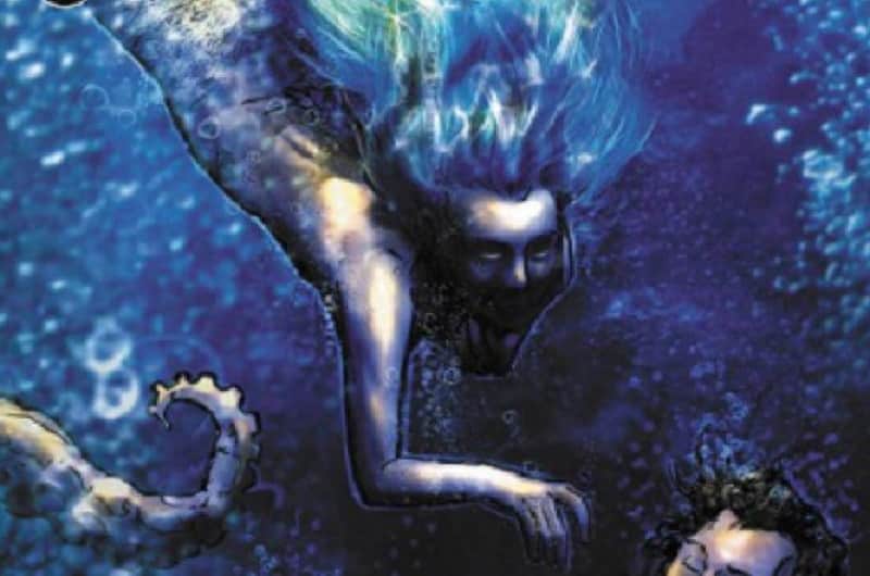 13308 the professor 4 sirena