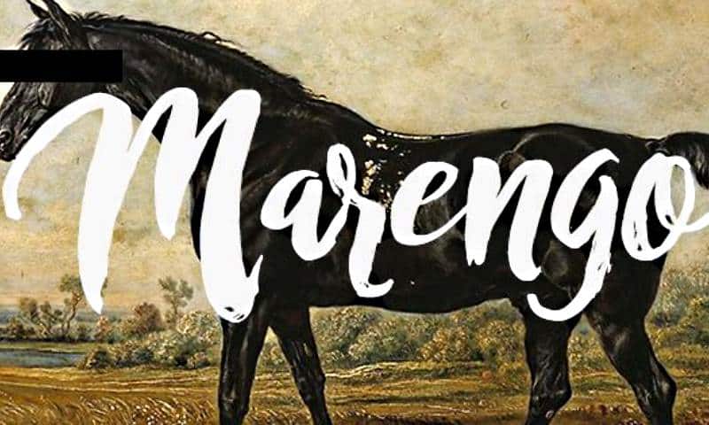 Marengo