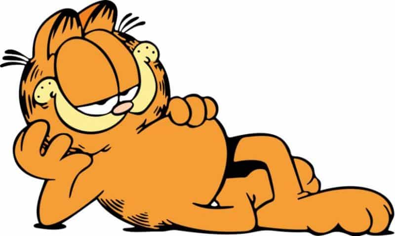 Garfield:  Viacom e Nickelodeon realizzano nuova serie animata