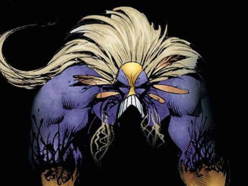The maxx