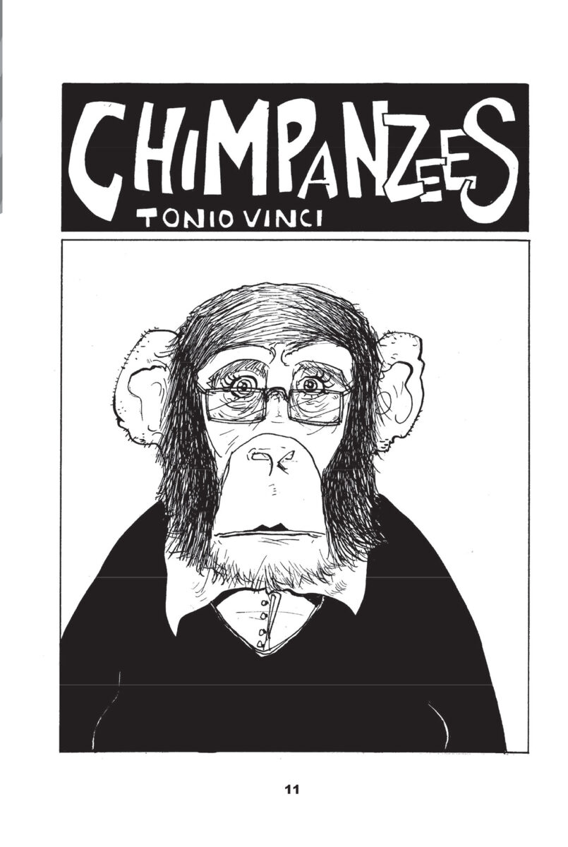 oblo5_promo3_scimpanze