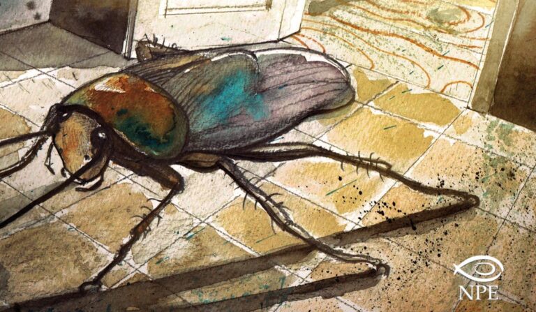 Kafka La metamorfosi IMG EVIDENZA