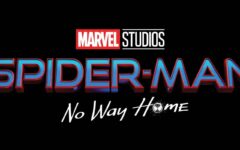 Spider-Man No Way Home - IMG EVIDENZA