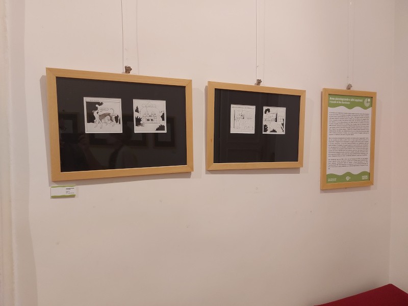 MostraMiaOberlanderGoethe_Comicon_2022 (1)