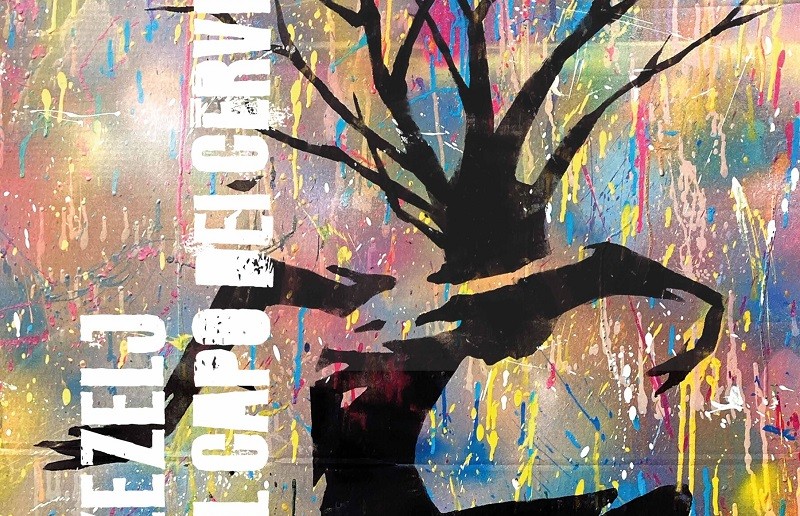 Il capo dei cervi Cover fronte scaledr