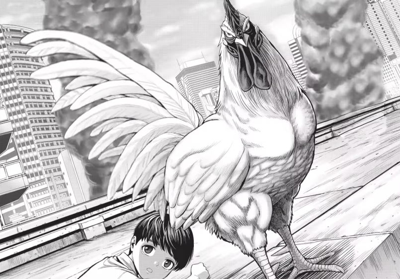 Rooster fighter interno