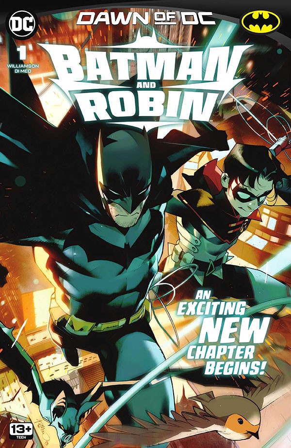 Batman And Robin 1