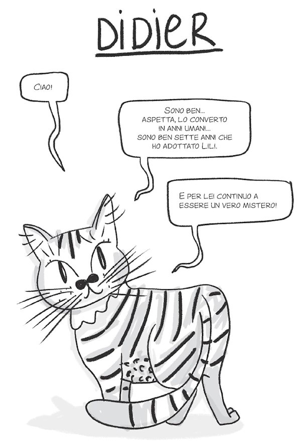 Miao. Il Misterioso Mondo Dei Gatti 1