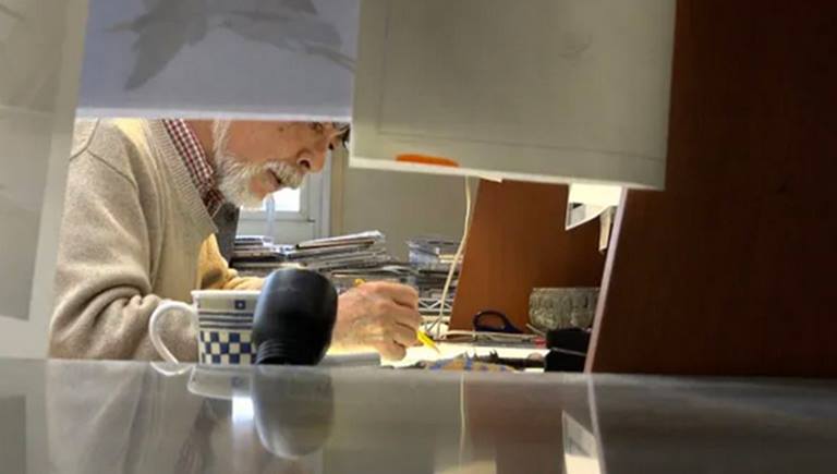 Coverig Hayaomiyazakielaironedikakuarkawa