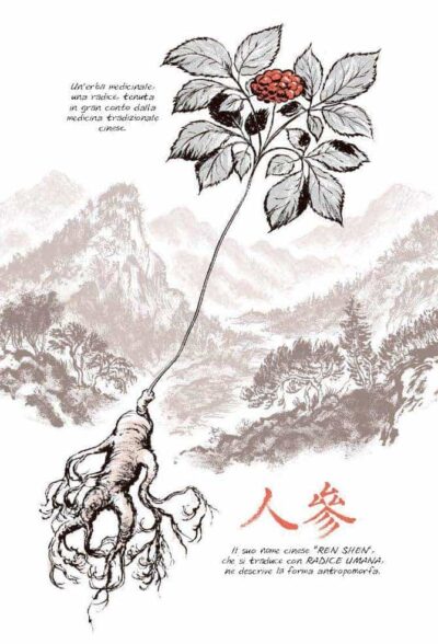 Ginseng Roots Craig Thompson 06 E1605263228605