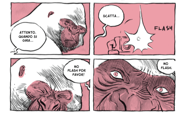 Ilo re bianco toffolo 4