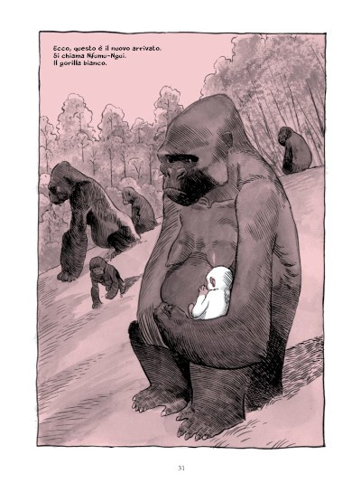 Ilo re bianco toffolo 5