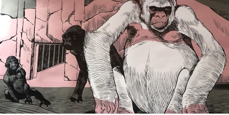 Ilo re bianco toffolo 6