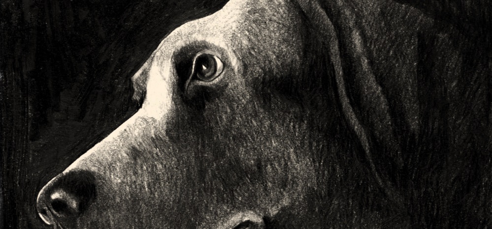 Progetto senza titolo 20250414 083139 0000