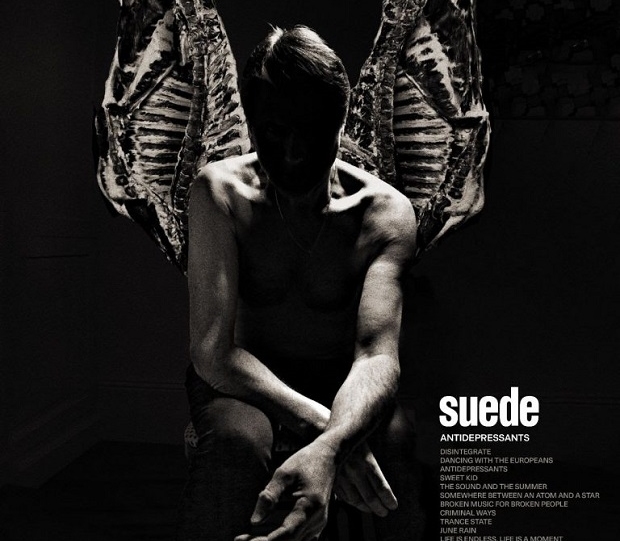 Suede 620x541