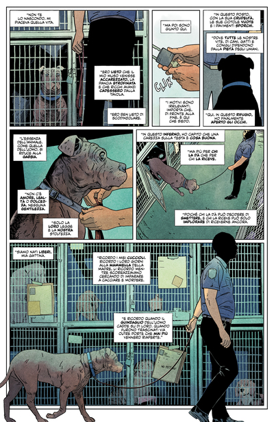 Animal pound p10