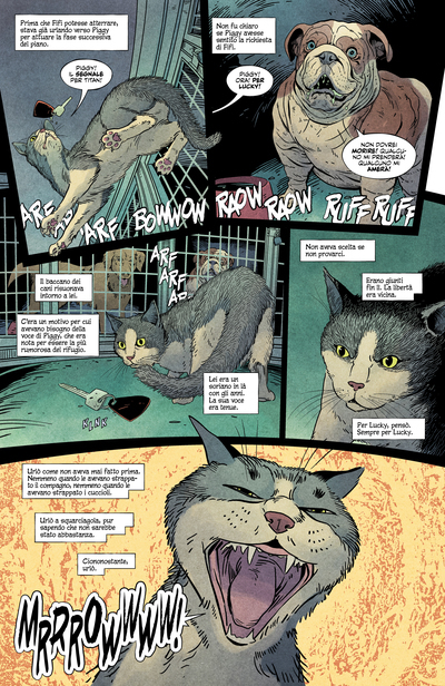 Animal pound p23