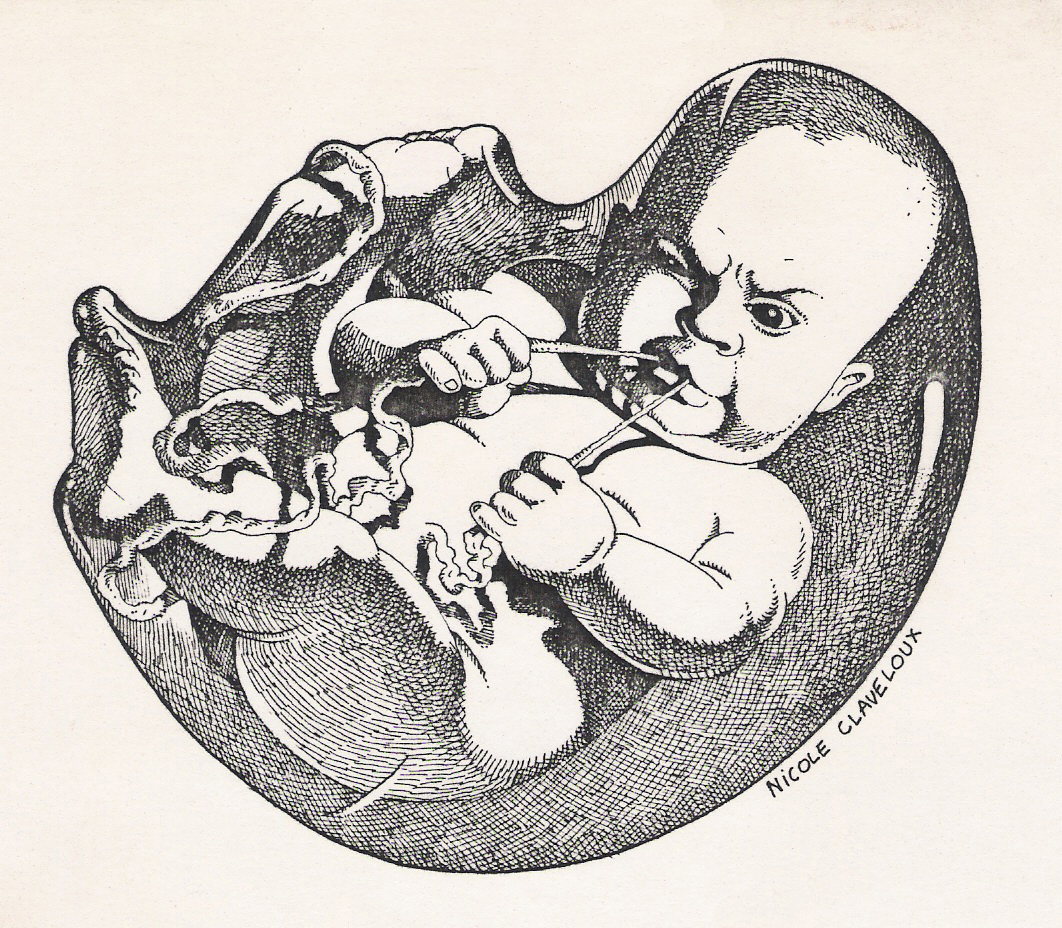 Délinquance juvénile (Libération)