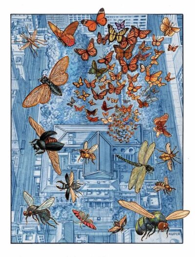 Spotlight peter kuper has a book coming soon called v0 1qop830ab8ye1