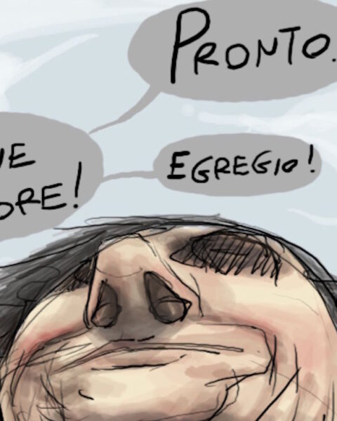 Spugnavertical1 home