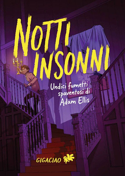 Notti Insonni cover