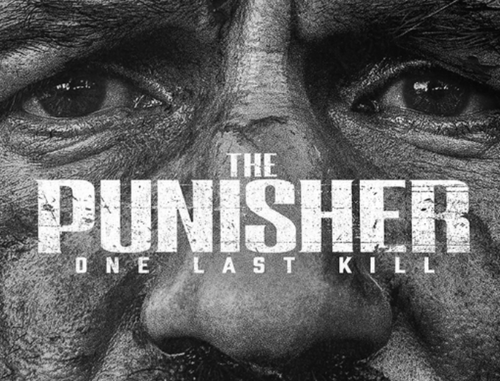 Punisherlastkill1