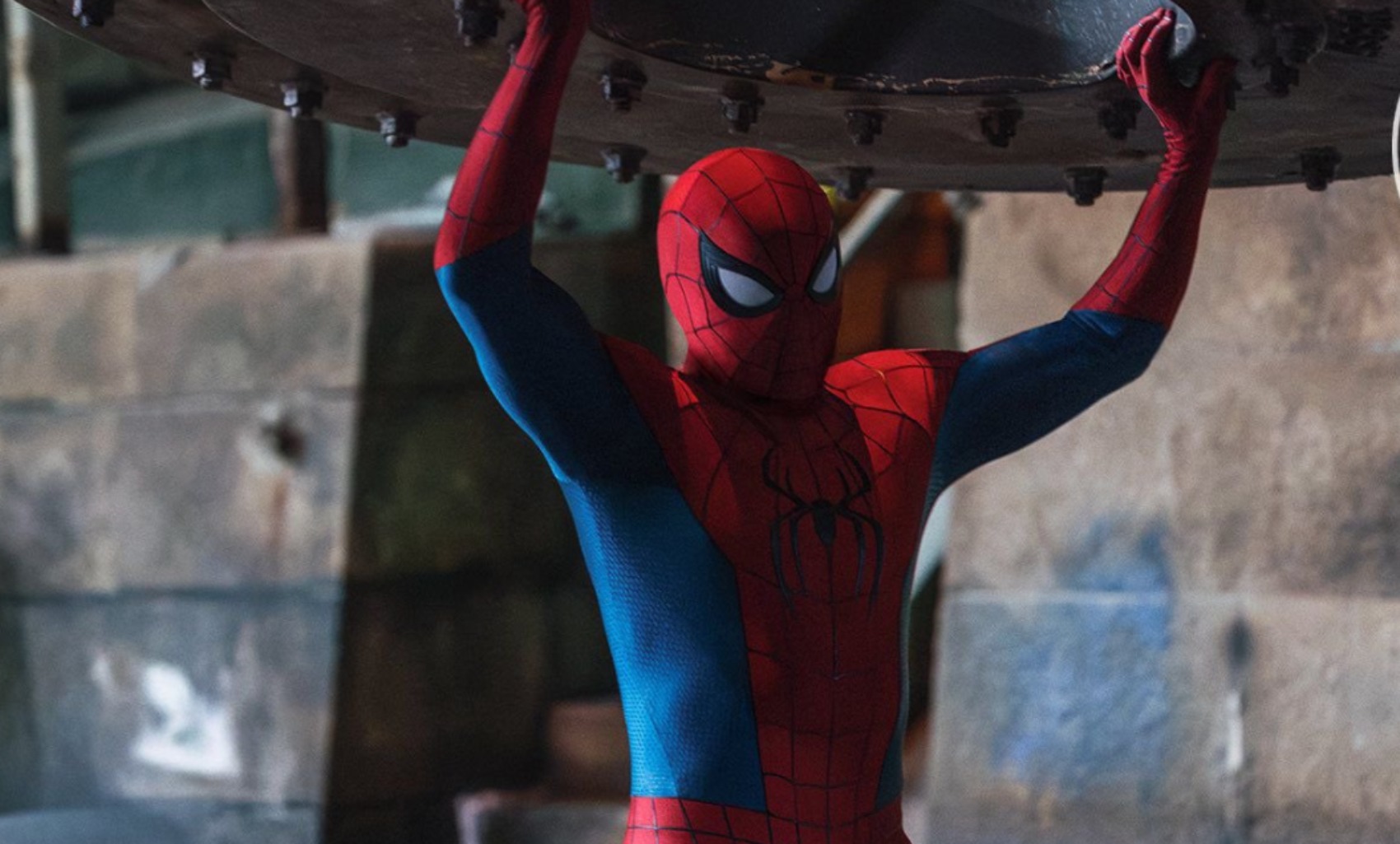 Brandnewday spidey