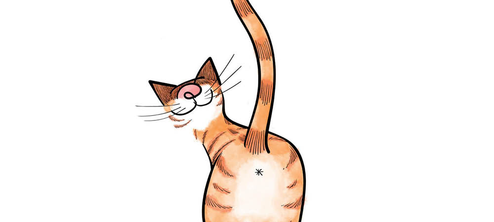 Il gatto sa ev