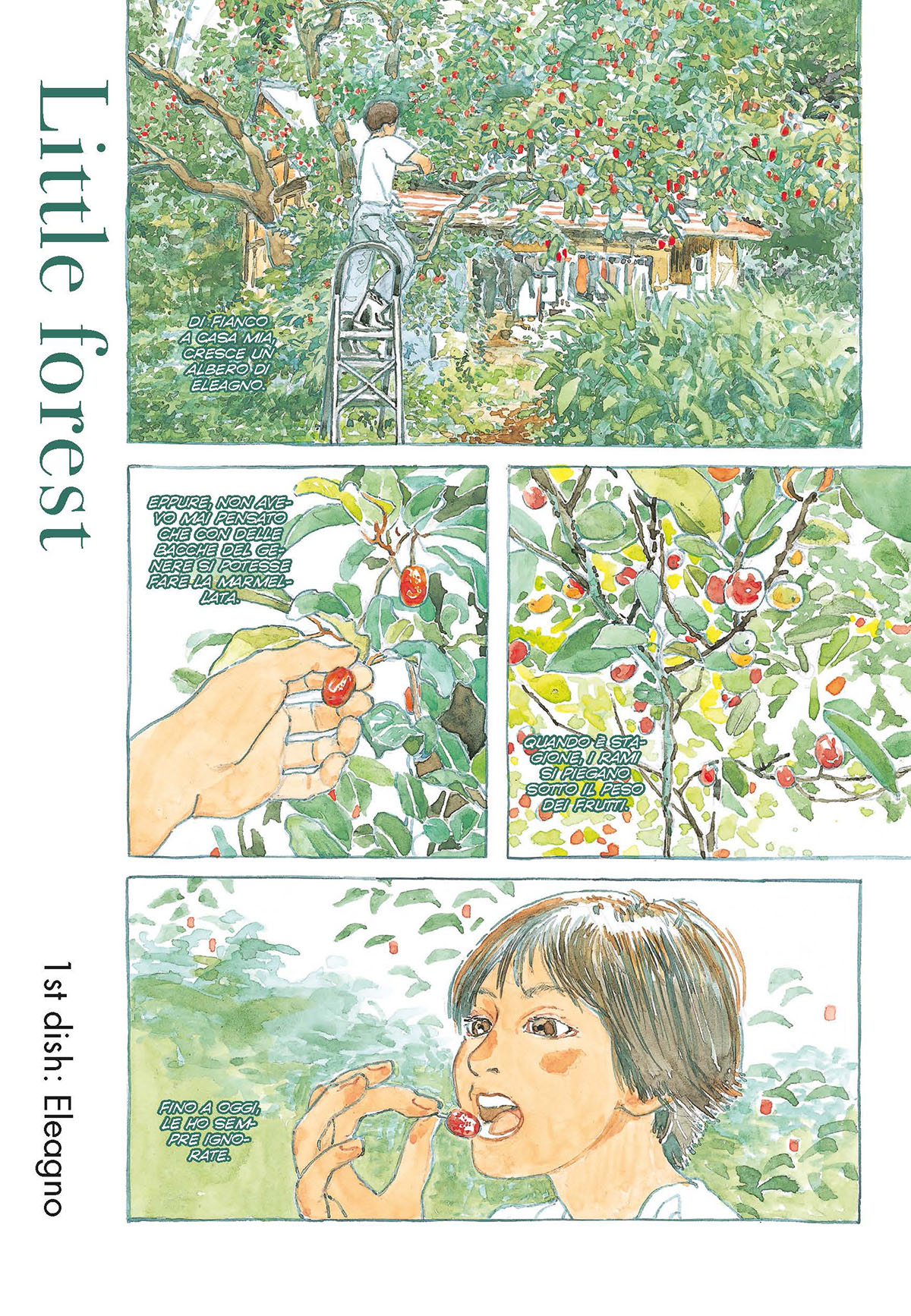 Pagine da Little Forest Pagina