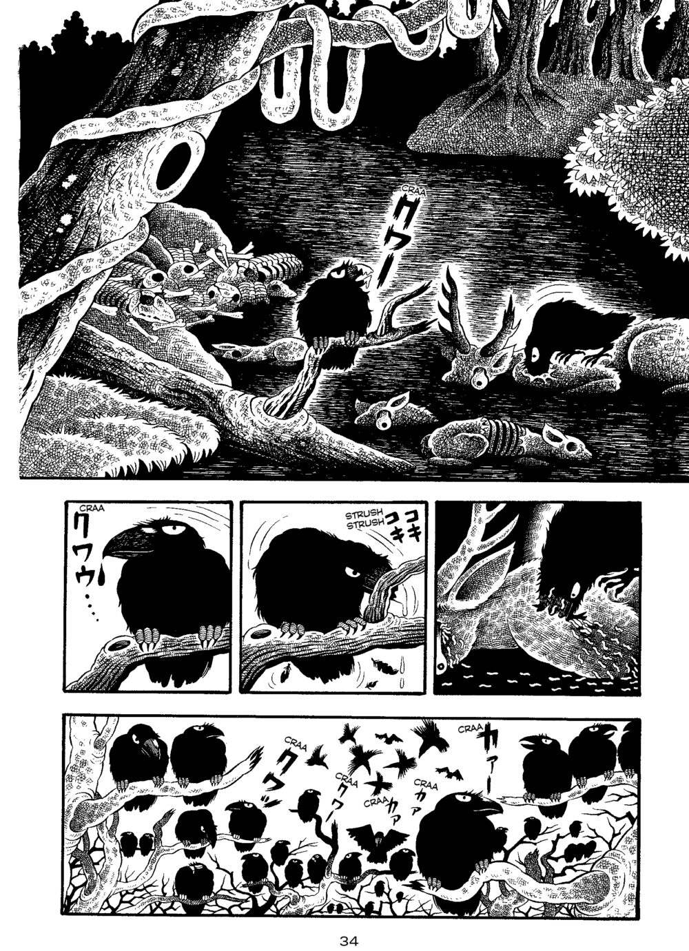 34
